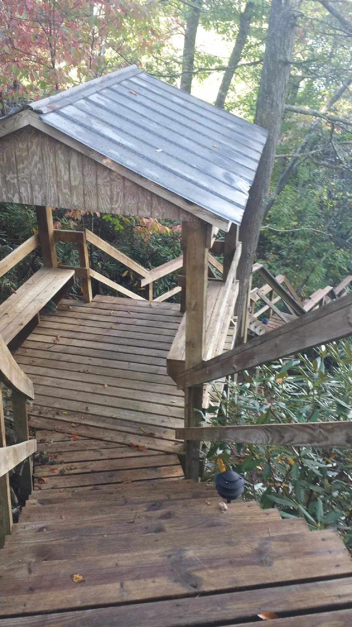 Metal roofed shelter over wooden steps on a wooded walkway — Skylight Repair & Installation work by our crew in Juneau